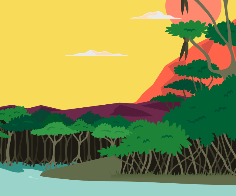 This is an illustration of a mangrove