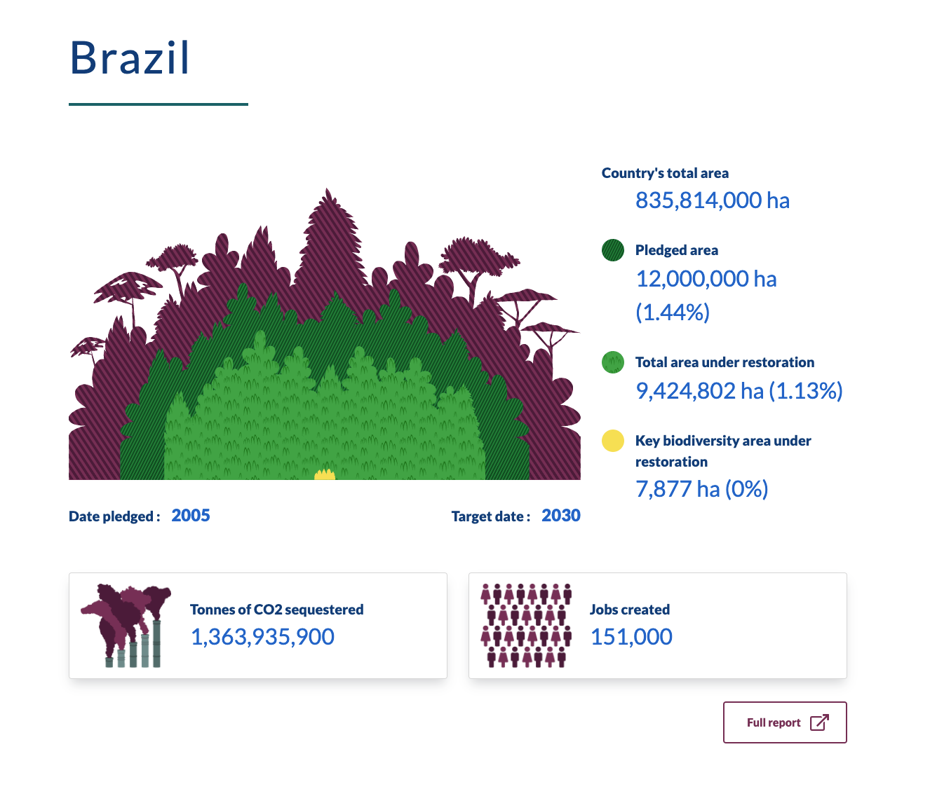 This is a screenshot of a graphic showing Brazils progress